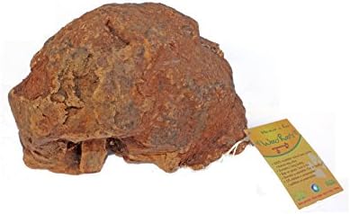 Tree Root Dog Chew Toy for Dogs - 100% natural - Extra Large size