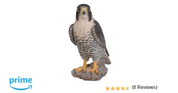 Vivid Arts Xrl Pfal B Resina Falco Pellegrino Ornamento