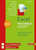 Image de Excel Praxisbuch für die Versionen 2010 und 2013: Zahlen kalkulieren, analysieren und präsentieren