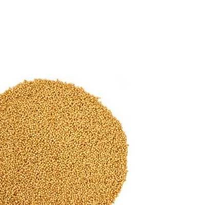 Preisvergleich Produktbild Amarant bio 2.5kg