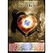 Dans l'oeil des Enfoirés - Spectacle 2011 Resto du Coeur - Edition 2 DVD [Import italien]