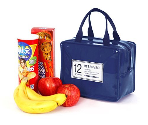 iSuperb Wasserdicht Kühltasche Mtagessen Tsche Isoliert Lunch Taschen Lunch Bag Cooler Bag für Arbeit und Schule 22x13x18.5cm (Dunkelblau)