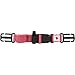 Produktbild Fjällräven  Brustgurt Chest Strap Long Brustgurt, Pink, One Size, 23501