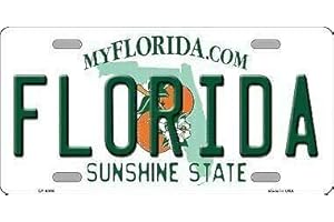 Plaque d'immatriculation TNND Florida Novelty en métal 15,2 x 30,5 cm