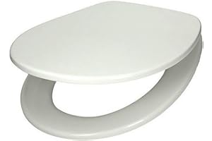 Villeroy & Boch 88246101 deska sedesowa Omnia z wałem zawiasowym, stal szlachetna/biała