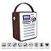 Produktbild Diuspeed Radio, Multifunktionales Retro Radio DAB Digitales WiFi Internet FM Tragbarer Radiowecker Holzkiste Aufkleber Gürtel Bluetooth TF Karte U Disk MP3
