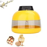 La incubadora de huevos Super Hatch 10 puede contener de 10 a 12 huevos de gallina. También es adecuado para incubar otras razas como patos y faisanes.