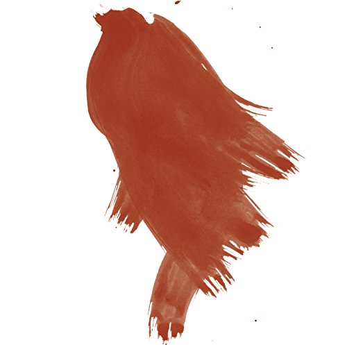 Daler-Rowney FW Acrylic Ink, Glass Bottle with Dropper, 1oz - 29.5 ml, Red Earth