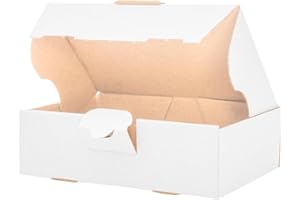 verpacking 100 boîtes Ã lettres maxi Boîtes d'expédition Boîte pliante Boîte pliante Maxibrief 16 x 11 x 5 cm, Blanc, MB-1