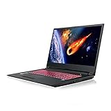 HoMei 32 GB RAM, 512 GB SSD, 17.3" IPS Full HD 6 Core 9th Gen Intel Core i7-9750H Gaming Notebook Laptop, NVIDIA GeForce RTX 2060 6 GB GDDR6 graphics, 1 TB HDD, Backlighting Keyboard