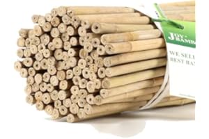 HAZIQ 2FT-3FT-4FT-5FT-6FT Bamboo Garden Canes/Stake/Pole Garden Plant Flower Support Sticks Outdoor/Indoor Natural Strong Plants Support (30, 4ft - 120cm (10-12mm))