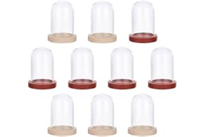 NBEADS 10 Set Mini Campana di Vetro Trasparente con Base in Legno, Teca per Centrotavola Piante Rocce Esemplari Decorazioni, 3.9x2.5cm