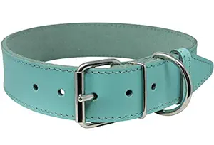 Genuine Leather Dog Collar Cyan 7 Sizes (19