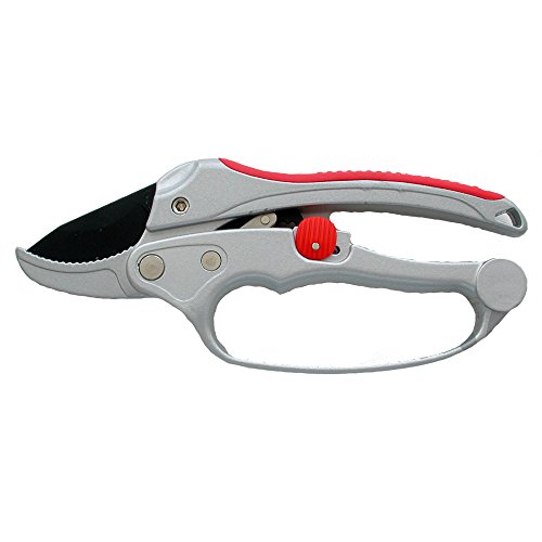Preisvergleich Produktbild OZAKI - Sécateur à crémaillère