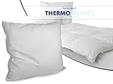Thermo Balance - erstklassige Kopfkissen oder Kassettenbett - geprüft nach Öko-Tex Standard 100 - mit besonders schöner Verpackung - bestens geeignet für Reisen und zum platzsparendem Verstauen, Kopfkissen [80 x 80 cm]
