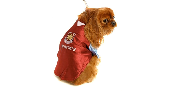 west ham dog coat