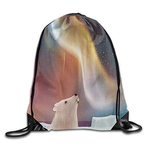 Arctic Fox Aurora Drawstring Backpack Rucksack Shoulder Bags Training Gym Sack For Man And Women