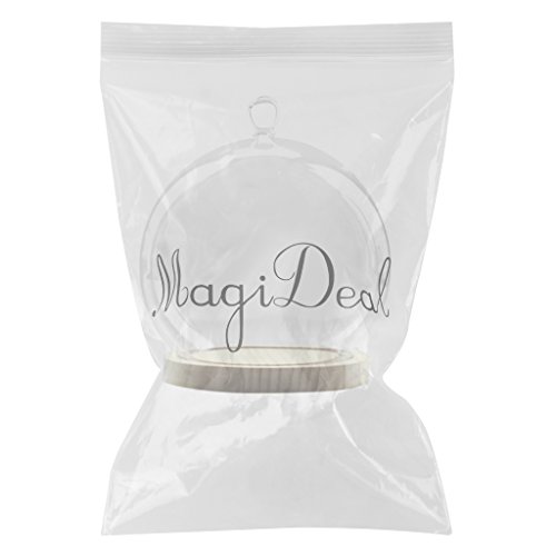 MagiDeal Deko Glasglocke mit Holzboden , Transparent Glas Behälter Micro Landschaft Garten DIY Terrarium Container Dekoration – mit kleinen Kugel, 15x18cm - 2