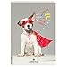 Produktbild Oberthur – 1 Tageskalender ChIOT SUPERDOG – September 2018 bis September 2019-12 x 17 cm