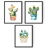 lamina cactus Tamaño A4 (21x29.7cm) Nacnic Pack de 3 láminas para enmarcar Cactus. Estilo Acuarela. Tamaño A4.
