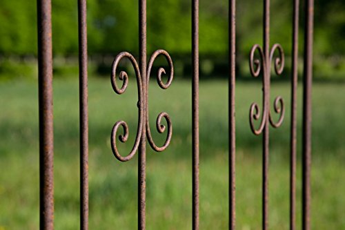 Steckzaun Höhe: 195cm Rost Breite: 80cm Rankhilfe Rankgerüst Rankgitter Metall - 5