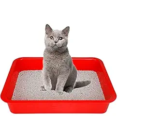 ROSEFINCH Cat Litter Tray | Strong Plastic Cat Litter Tray Tough and Durable, Plastic Box Toilet Rim, Big Tray Plastic BPA Free Easy to Clean (Multi Colour - 1pc)