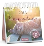 Katzenweisheiten 2018: Postkartenkalender by 
