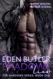 Cover zum Buch Shadows and Lies