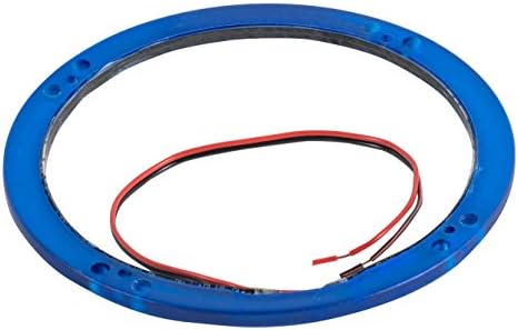 Roswell Marine LED Night Ring, 6.5", Blue