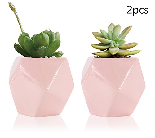 Preisvergleich Produktbild Keramik-Sukkulenten-Pflanztopf / Moderner Kaktus-Pflanztopf