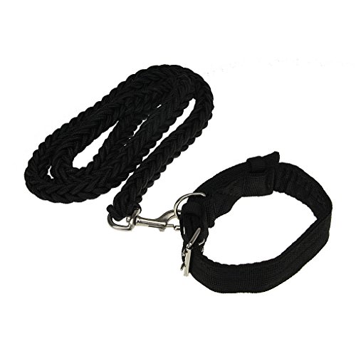 BAO CORE Large Dogs Sturdy and Thick 1.2 Meters Leads and Collars for Big Dog Golden Retriever/German Shepherd Dog/Rottweiler/Alaskan Malamute/Tibetan Mastiff etc, Collar and Lead, Black