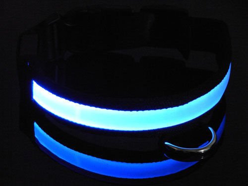 DOG-COLLAR-pet-LED-light-up-flashing-luminous-night-safety-coloured-bright-VARIOUS-COLOURS-AVAILBLE-UK-SELLER