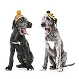 Image de Funny Dogs 2015 Broschürenkalender