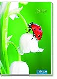Taschenkalender 2019 Marienkäfer A6 Buchkalender Taschenterminer by 
