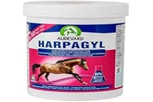 LABORATOIRES AUDEVARD Audevard Harpagyl 900G