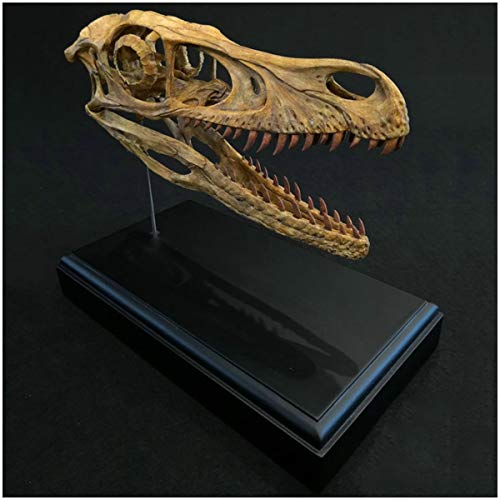 Pompe Per Piscine E Vasche Idromassaggio Fai Da Te Decdeal