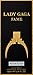 Lady Gaga Fame Black Fluid Eau De Parfum for Women 100 ml