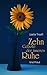 Zehn Gebote der inneren Ruhe: Entschleunigen und entspannen in der No-Time-Gesellschaft by 