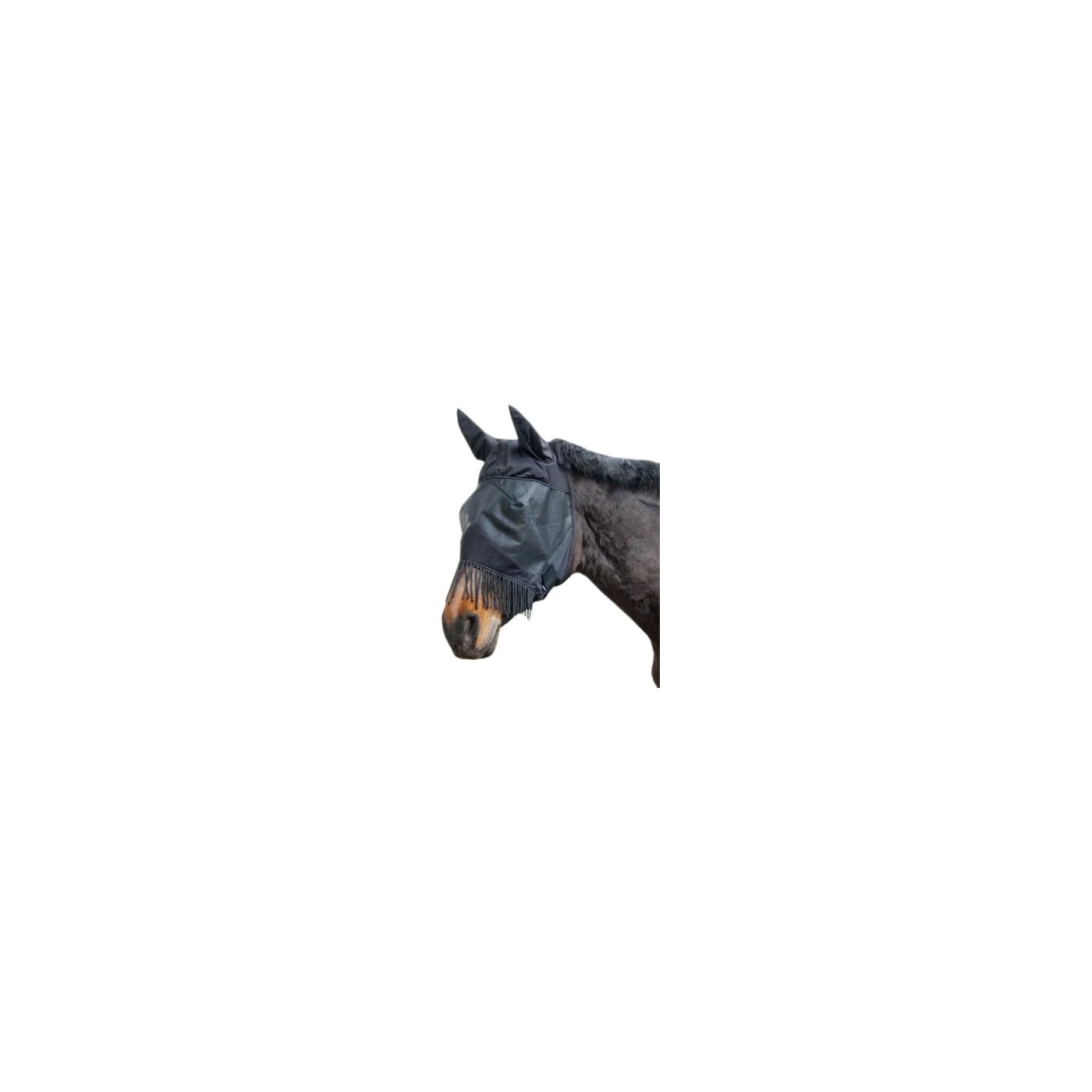 Horse ‘n’ Pony