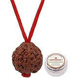 ASTRODIDI Wood 9 Mukhi Rudraksha With Lab Certificate, Brown