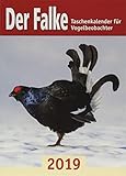 Der Falke-Taschenkalender für Vogelbeobachter 2019 by 