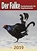 Der Falke-Taschenkalender für Vogelbeobachter 2019 by 