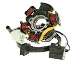 Lichtmaschine - PEUGEOT Jetforce 50 C-TECH (2-Takt) Typ:A1