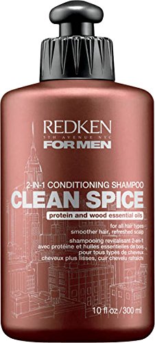 Redken for men Clean Spice 2 in 1 Conditioning Shampoo, 1er Pack (1 x 300 ml)