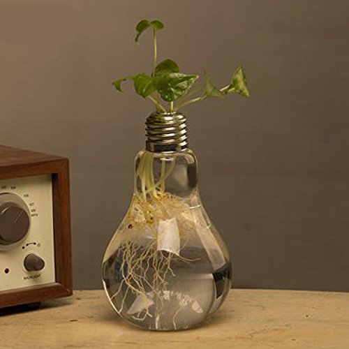 Gosear 2 Stück Dekorative Transparent Stand Glas Blume Pflanze Light Bulb Vase Schreibtisch Dekor Moderne Glühbirnenvase - 4