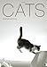 Cats Kalender 2010 by