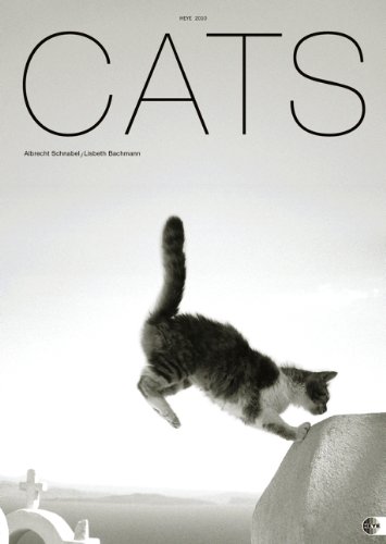 Cats Kalender 2010