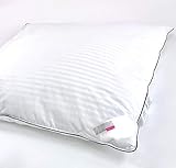 Meisterhome Daunenkissen 80 x 80 cm - 3-Zimmer Kopfkissen 90% Daunen 10% Feder - Premium Qualität 1700 Gramm füllung Meisterhome Daunenkissen 80 x 80 cm - 3-Zimmer Kopfkissen 90% Daunen 10% Feder - Premium Qualität 1700 Gramm füllung