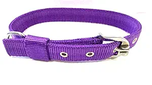 Eqous International Dog Collar Neck Belt for Medium Dogs | Purple |