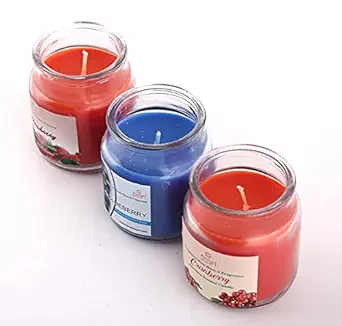 Floryn Decor Scented Cookie Jar Candle | Pack of 3 | Scented Jar Candle (Blueberry | Strawberry | Cranberry)